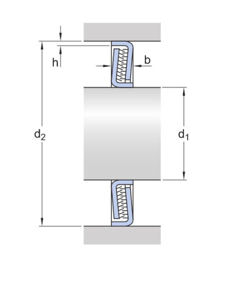 SKF Z 309 F arandela de sellado