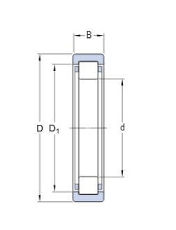 SKF RNU 204 ECP rodamiento de rodillos