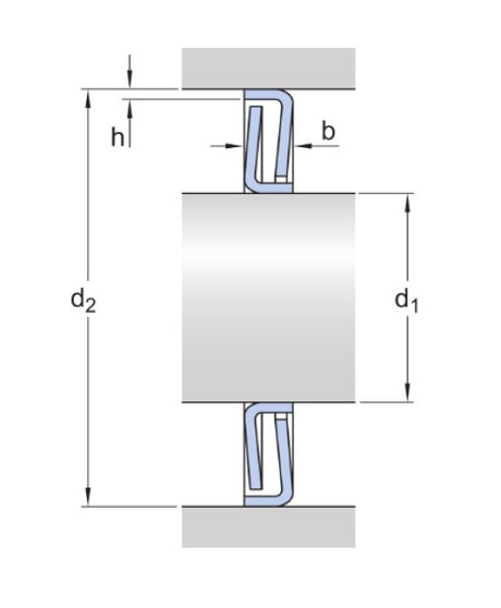 SKF Z 310 arandela de sellado